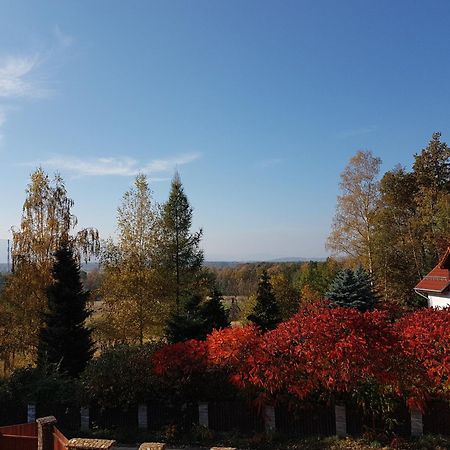 Bukowiec Sarna Karkonoszeアパートメント エクステリア 写真