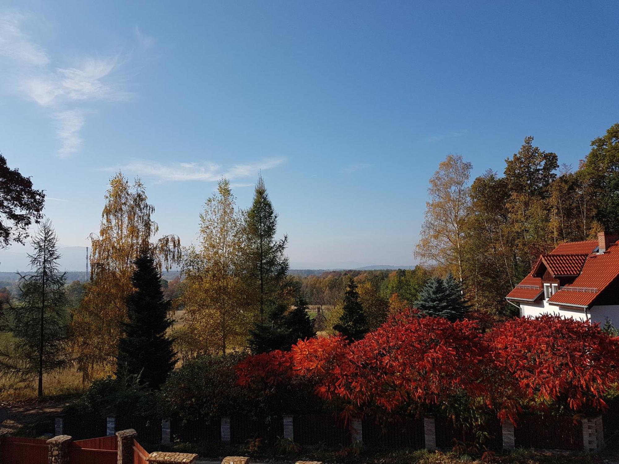 Bukowiec Sarna Karkonoszeアパートメント エクステリア 写真