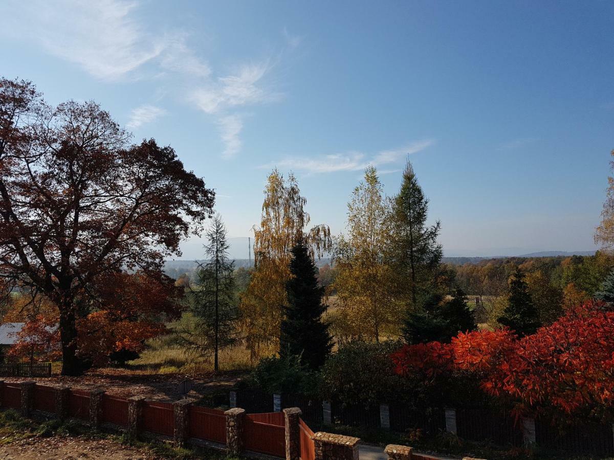 Bukowiec Sarna Karkonoszeアパートメント エクステリア 写真